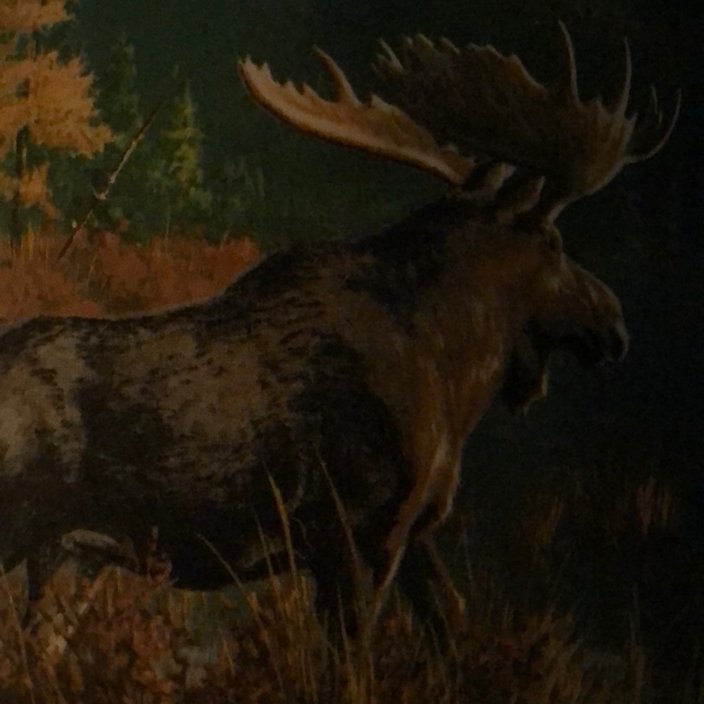 Meet your Posher, Christina